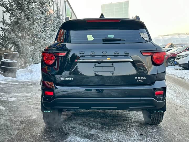 Фото 9 - Haval H-Dog