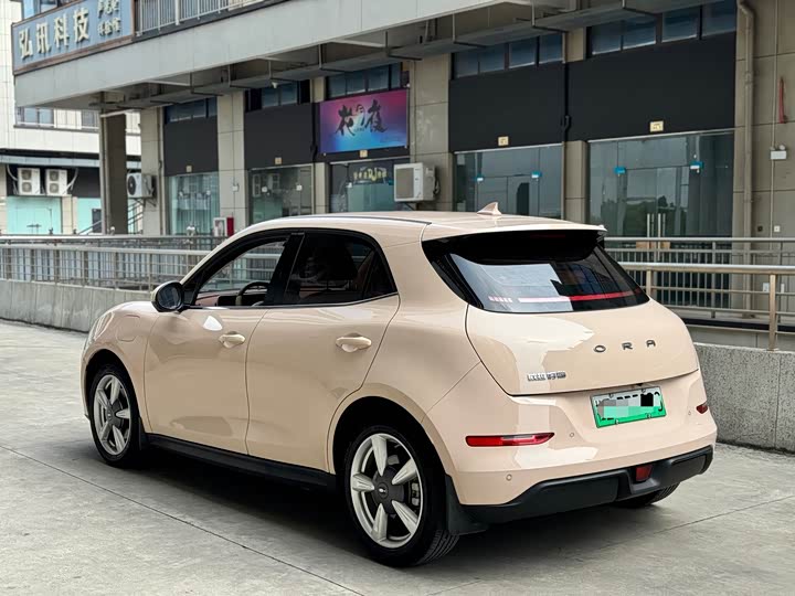 Фото 3 - Ora Good Cat (03)