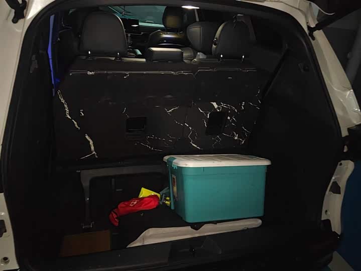 Фото 4 - Toyota Sienna