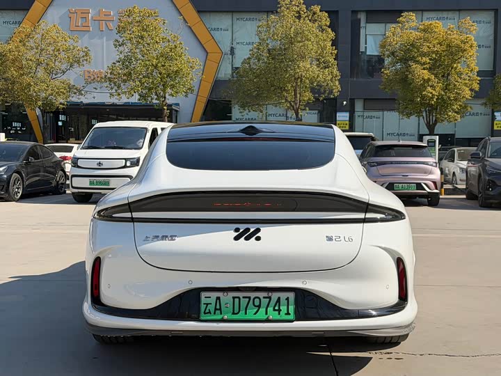 Фото 5 - IM motors L6