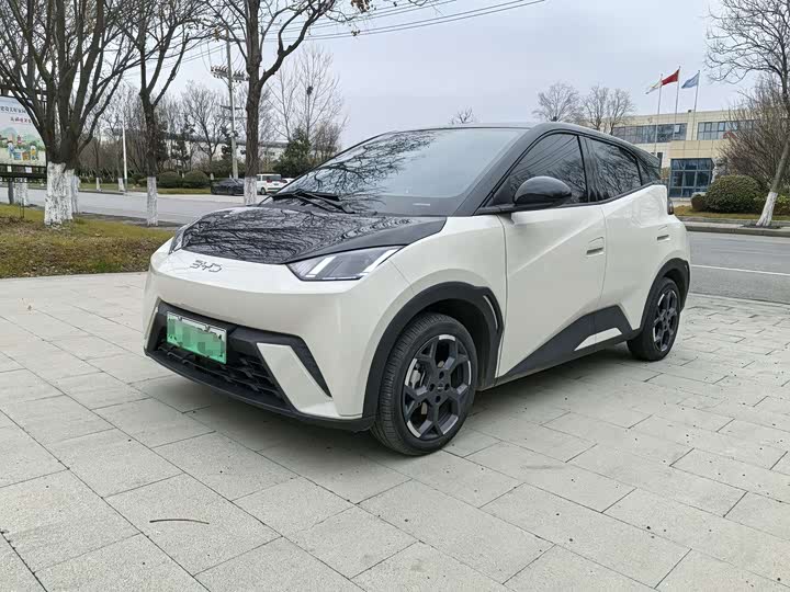 Фото 1 - BYD Seagull