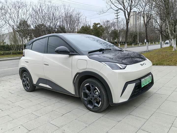 Фото 3 - BYD Seagull