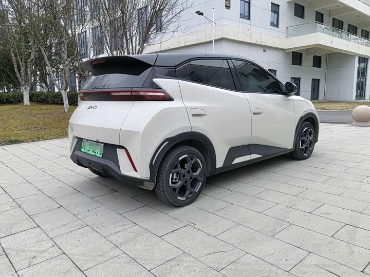 Фото 4 - BYD Seagull