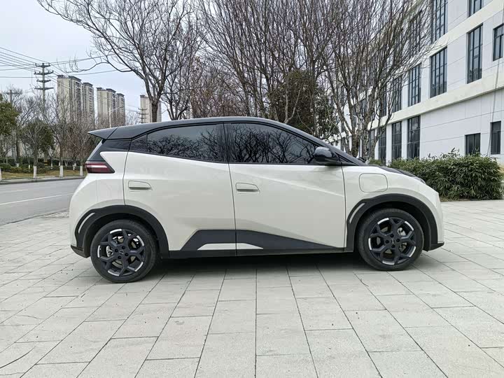 Фото 7 - BYD Seagull