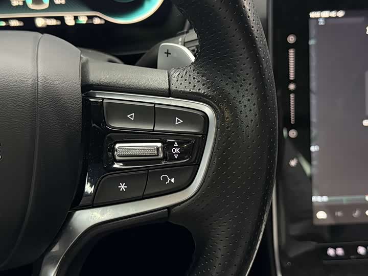 Фото 9 - Roewe RX5 Hybrid