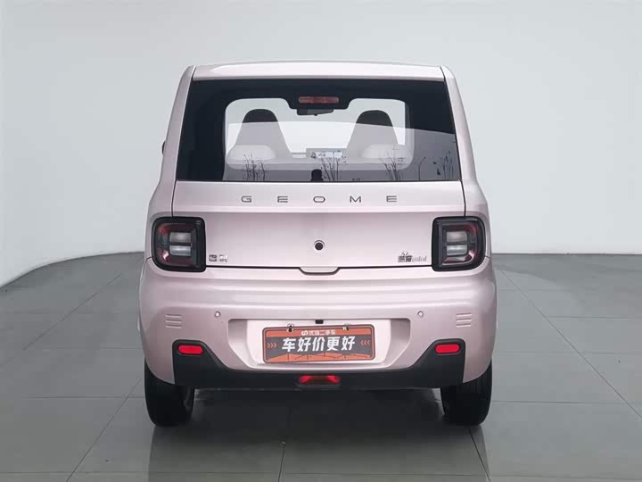 Фото 4 - Geely Galaxy Panda Mini