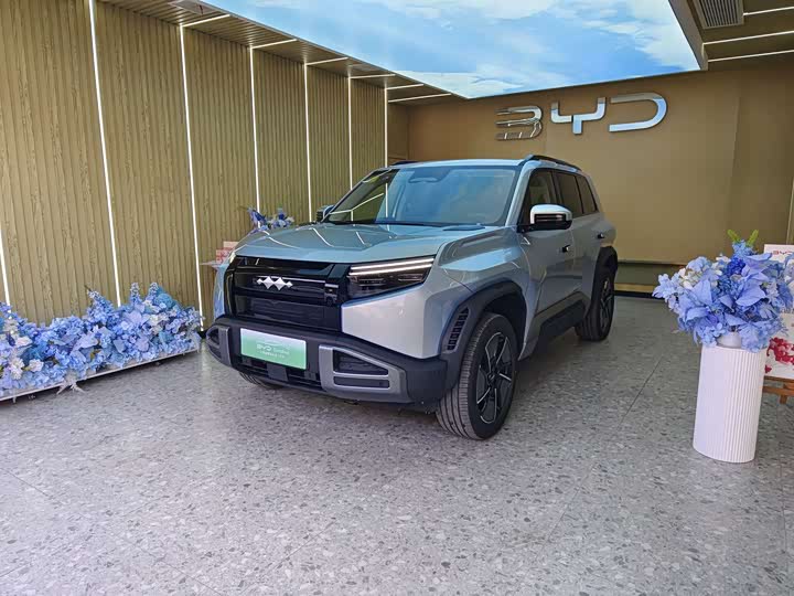 Фото 1 - BYD FangChengBao Titanium 3 (Tai 3)