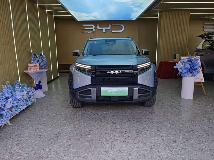 Фото 2 - BYD FangChengBao Titanium 3 (Tai 3)