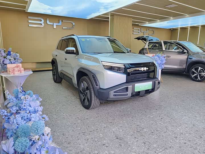 Фото 3 - BYD FangChengBao Titanium 3 (Tai 3)