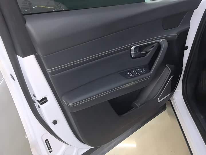 Фото 7 - BYD Song Pro