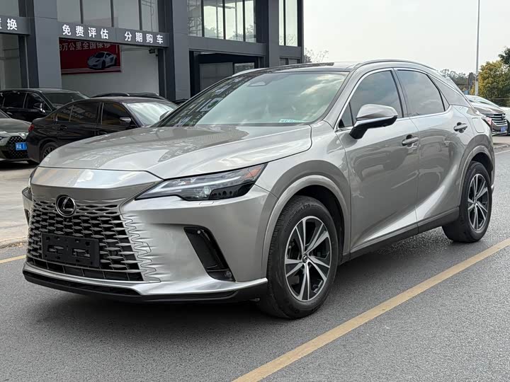 Фото 1 - Lexus RX