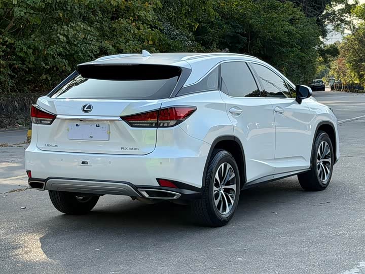 Фото 3 - Lexus RX