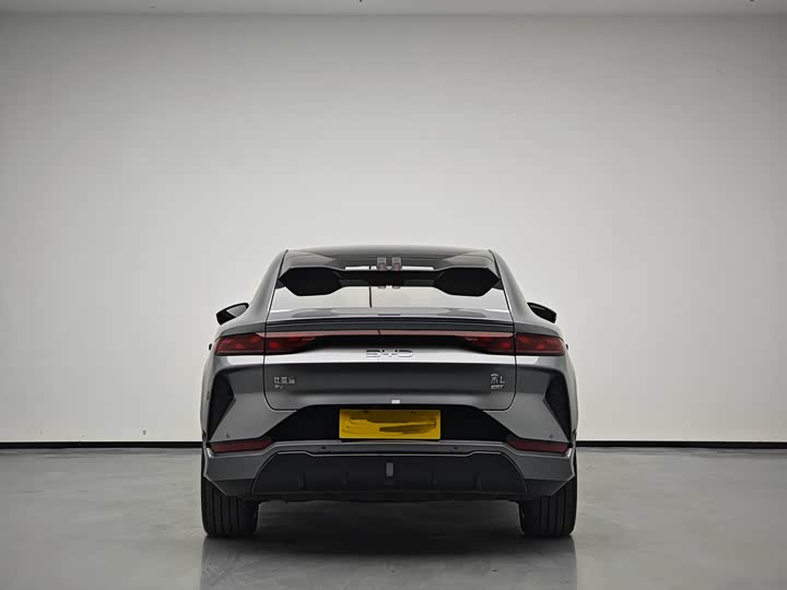 Фото 5 - BYD Song L