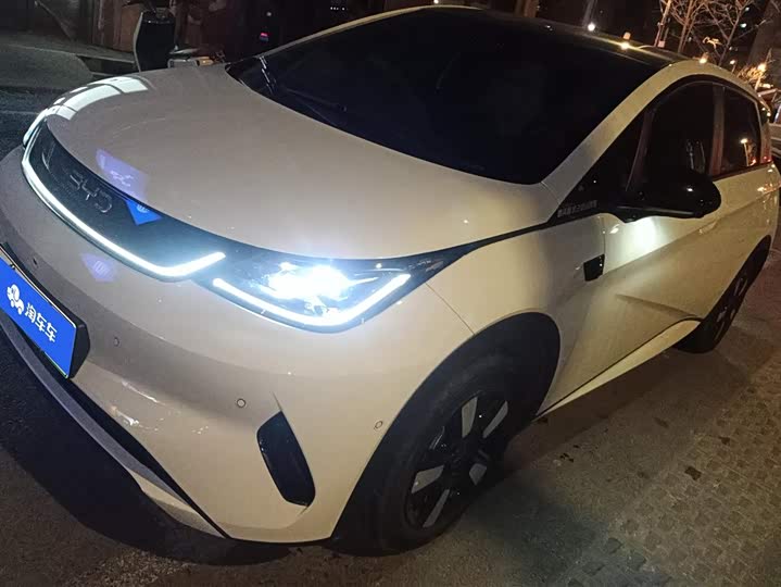 Фото 1 - BYD Dolphin