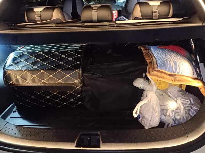 Фото 4 - BYD Dolphin