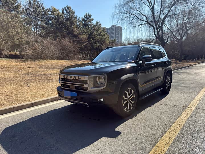 Фото 3 - Haval Dargo