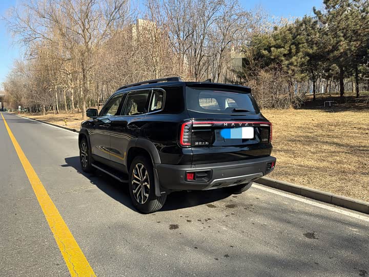 Фото 4 - Haval Dargo