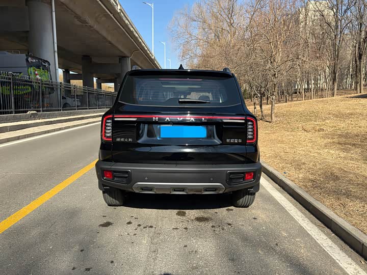 Фото 5 - Haval Dargo