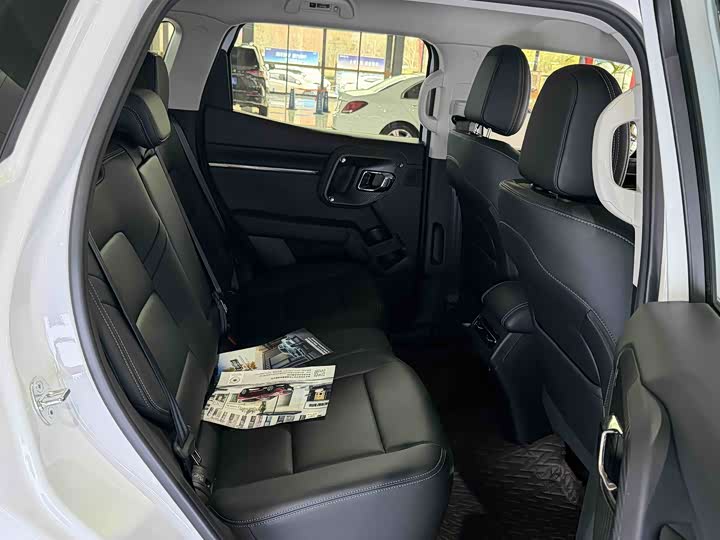 Фото 8 - Haval H-Dog Hybrid