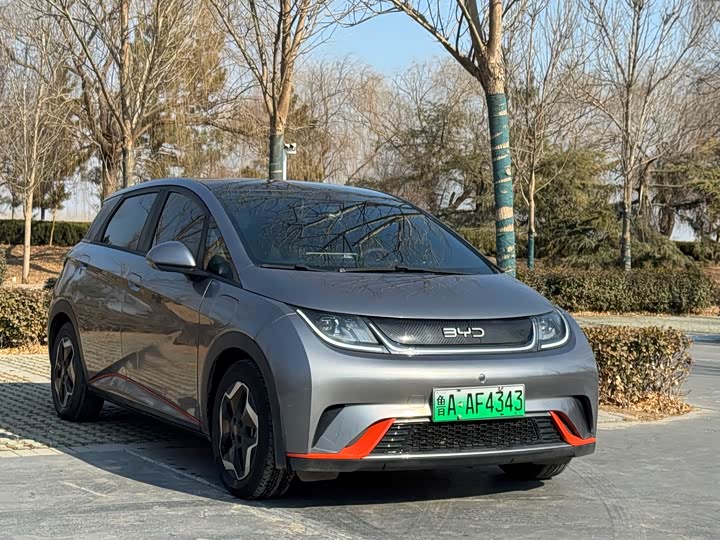 Фото 2 - BYD Dolphin