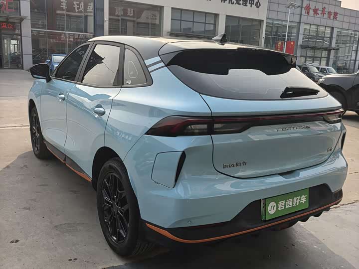 Фото 4 - Dongfeng Forthing Leiting