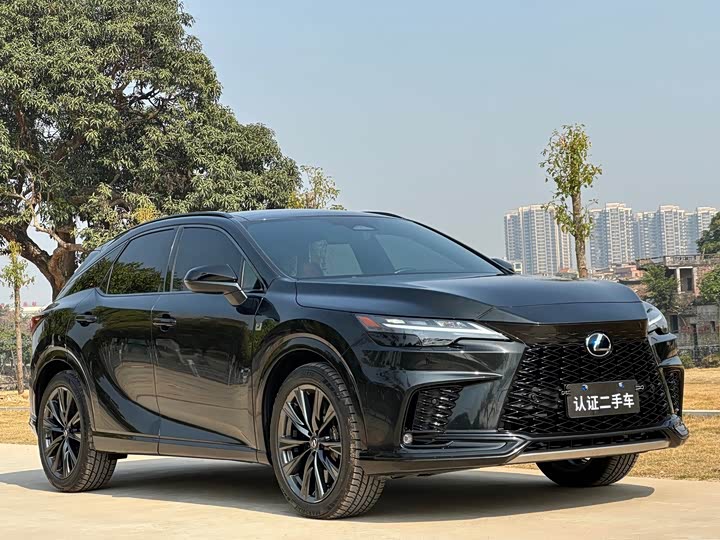 Фото 3 - Lexus RX