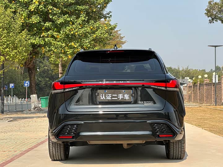 Фото 5 - Lexus RX