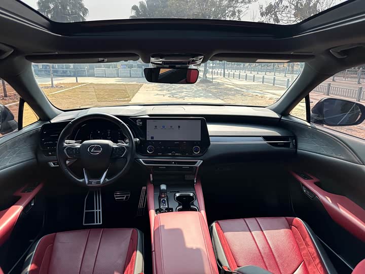 Фото 8 - Lexus RX