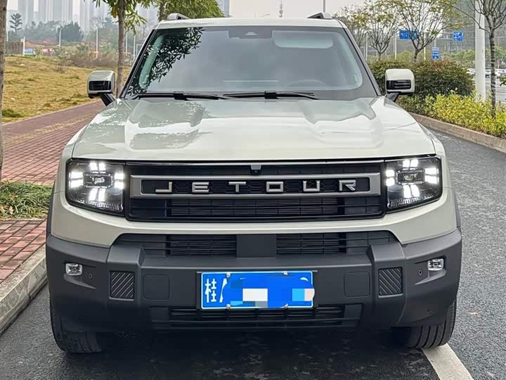 Фото 3 - Jetour Freedom