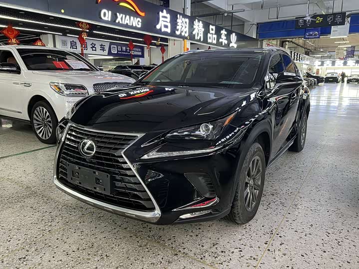 Фото 1 - Lexus NX