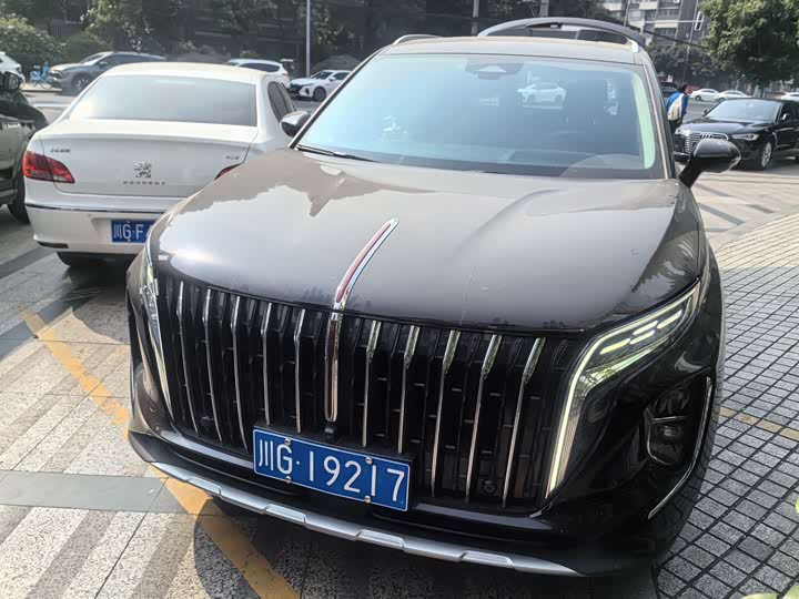 Фото 1 - Hongqi HS7