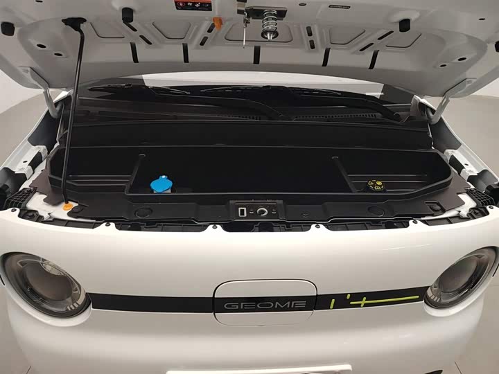 Фото 6 - Geely Galaxy Panda Mini