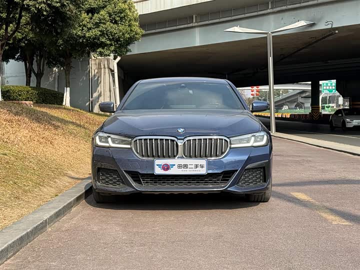 Фото 2 - BMW 5 Series Hybrid