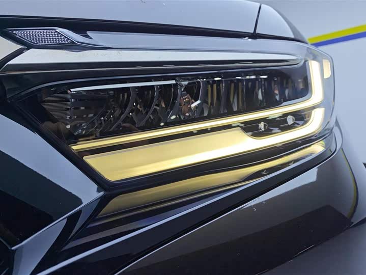 Фото 5 - Honda Elysion