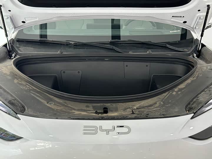 Фото 4 - BYD Sea Lion 06 Hybrid/EV