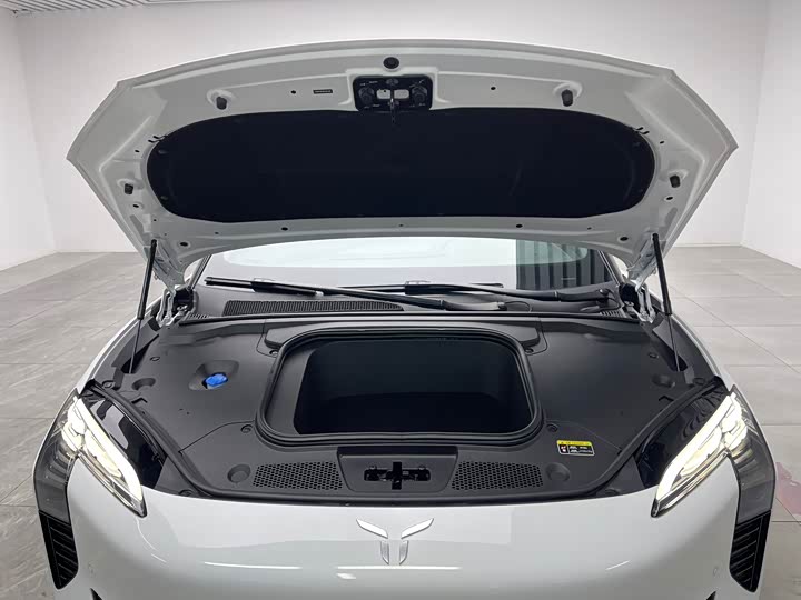 Photo 9 - Hongqi EH7