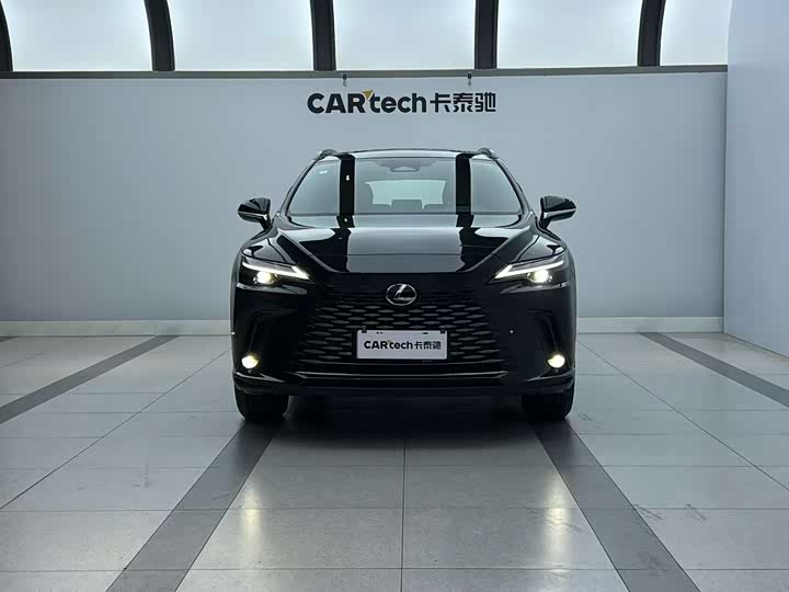 Фото 4 - Lexus RX