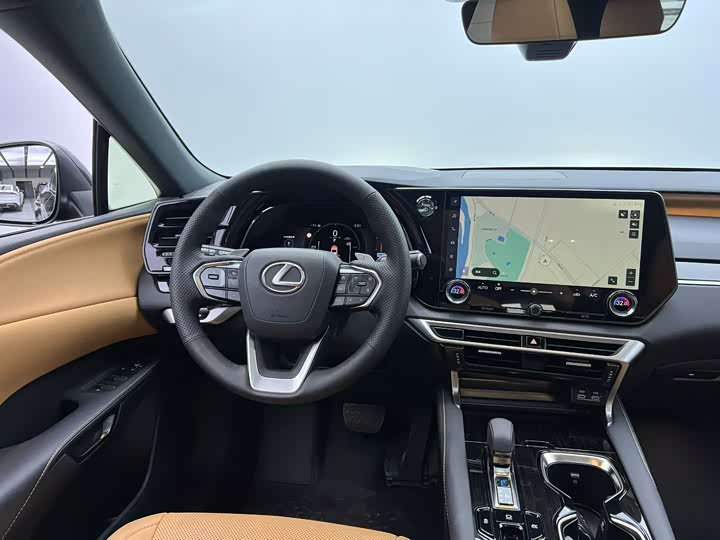 Фото 7 - Lexus RX