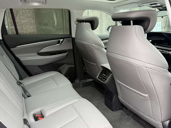 Фото 5 - Buick Electra E5