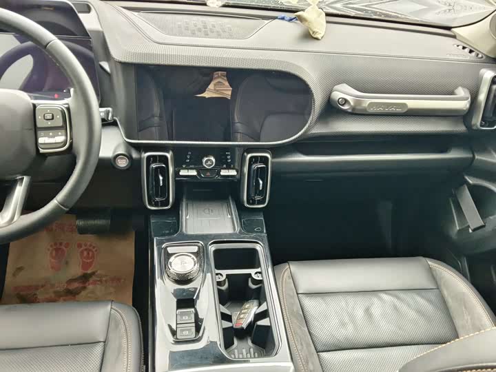 Фото 3 - Haval Dargo