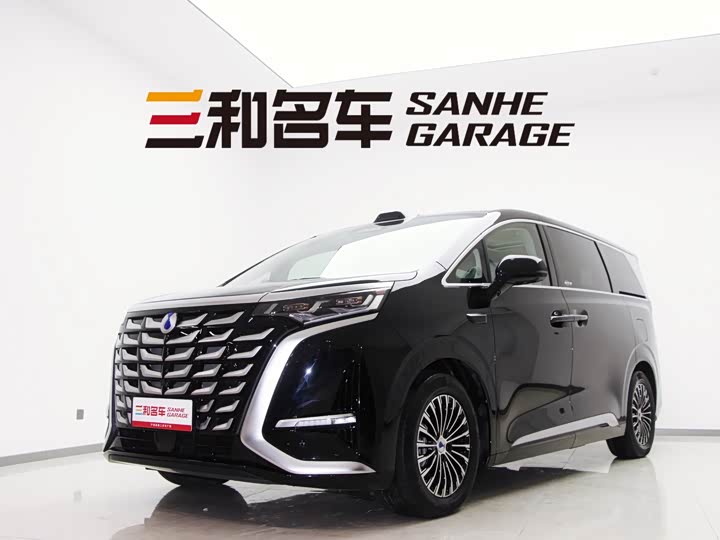 Фото 1 - Denza D9