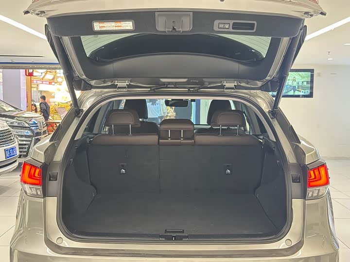 Фото 8 - Lexus RX