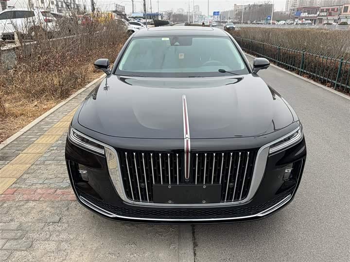 Фото 6 - Hongqi H9