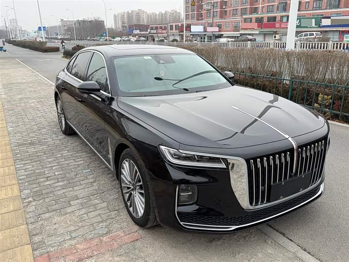 Фото 7 - Hongqi H9