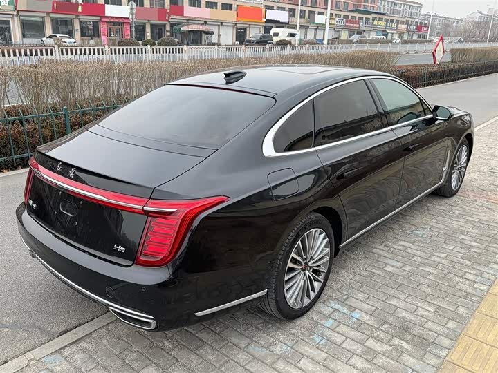 Фото 8 - Hongqi H9
