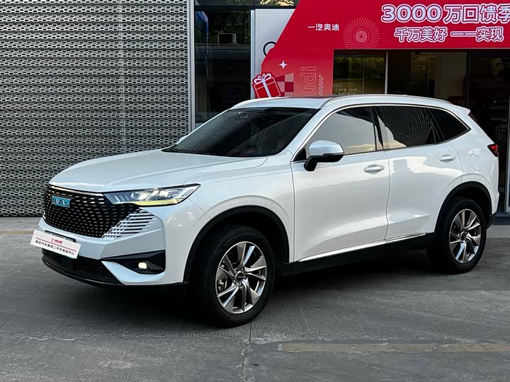Фото 1 - Haval H6 Hybrid