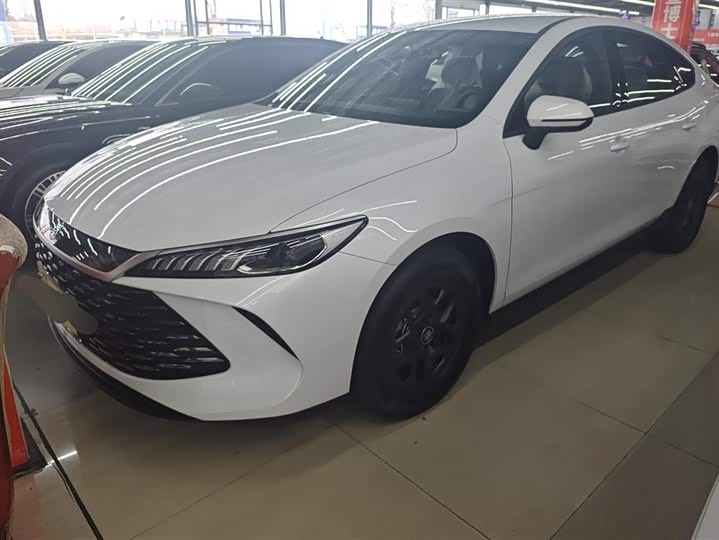 Фото 1 - BYD Qin Plus