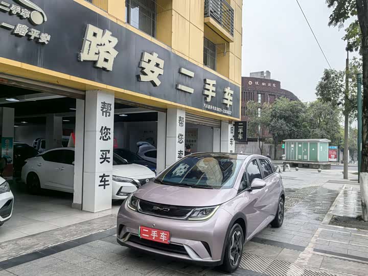 Фото 1 - BYD Dolphin