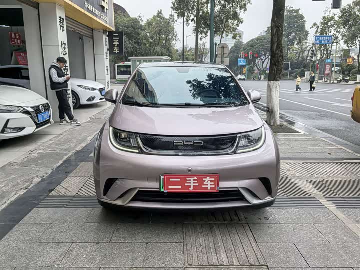 Фото 2 - BYD Dolphin