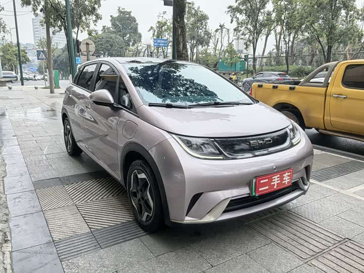 Фото 3 - BYD Dolphin